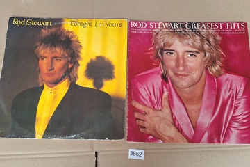 Afbeelding van Rod Stewart Lp's