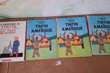 Afbeelding van Les Aventures de Tintin Albums