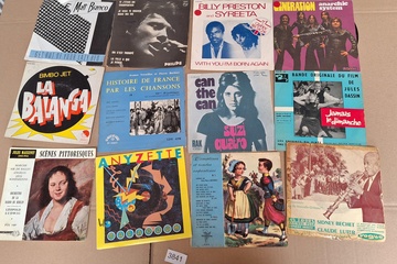 Afbeelding van Lot Singles