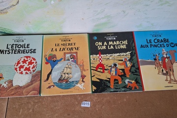 Afbeelding van Les Aventures de Tintin Albums