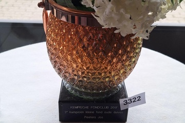 Afbeelding van trofee