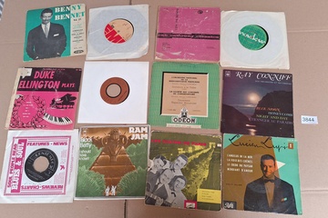 Afbeelding van Lot Singles