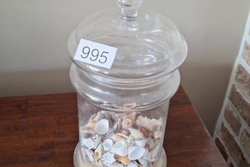 Afbeelding van Opbergpot glas met schelpen