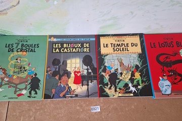 Afbeelding van Les Aventures de Tintin Albums