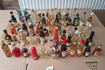 Afbeelding van Partij Mini drankflesjes