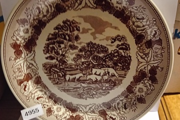 Afbeelding van Swiss Landscape Bord