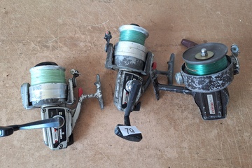 Afbeelding van Vismolens Daiwa 3 stuks