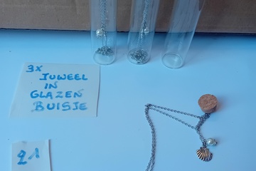 Afbeelding van Hanger met ketting in glazen buisjes 3 stuks