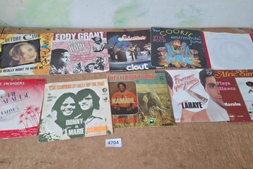 Afbeelding van Vinyl Singles 45T