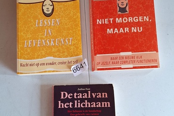 Afbeelding van Leesboeken