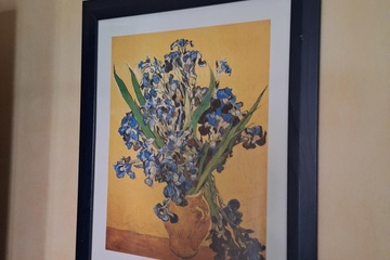 Afbeelding van Vincent Van Gogh Reproductie in kader
