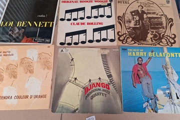 Afbeelding van Lot Lp's