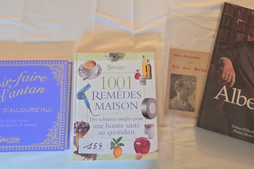Afbeelding van Set van vier diverse boeken over praktische tips, huismiddeltjes en het koningshuis, waaronder Albert II intime en 1001 Remèdes Maison – Lot 154