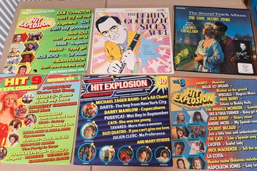 Afbeelding van lot Lp's