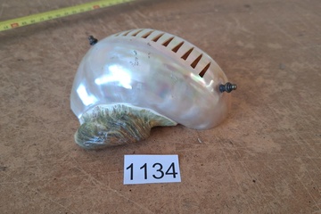 Afbeelding van Decoratieve schelp