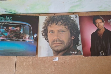 Afbeelding van Rob De Nijs Lp's
