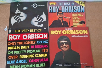 Afbeelding van Roy Orbison Lp's