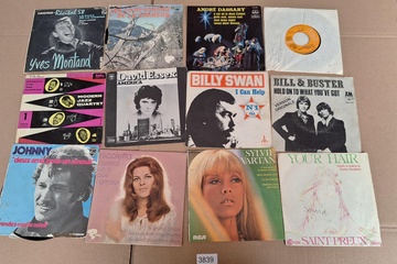 Afbeelding van Lot Singles