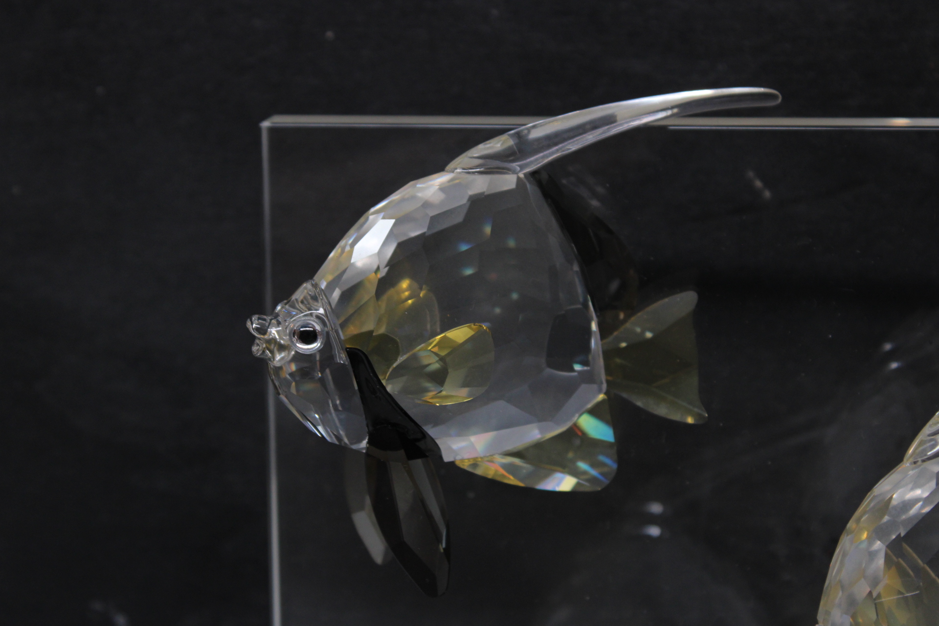 Set vissenbeeldjes van Swarivski – foto 8 – kavel bij GSD Auctions, Zoeterwoude