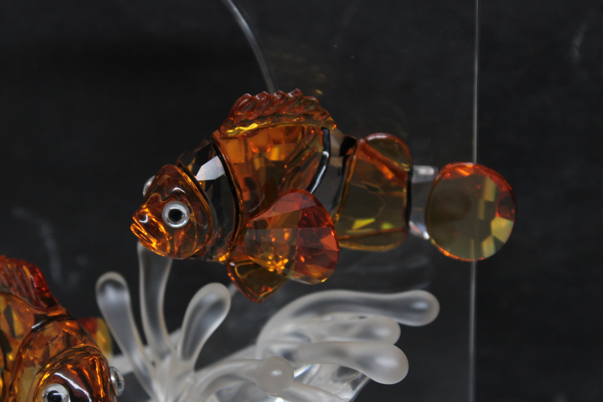 Swarovski Kristallen Beelden - Vissen – foto 13 – kavel bij GSD Auctions, Zoeterwoude