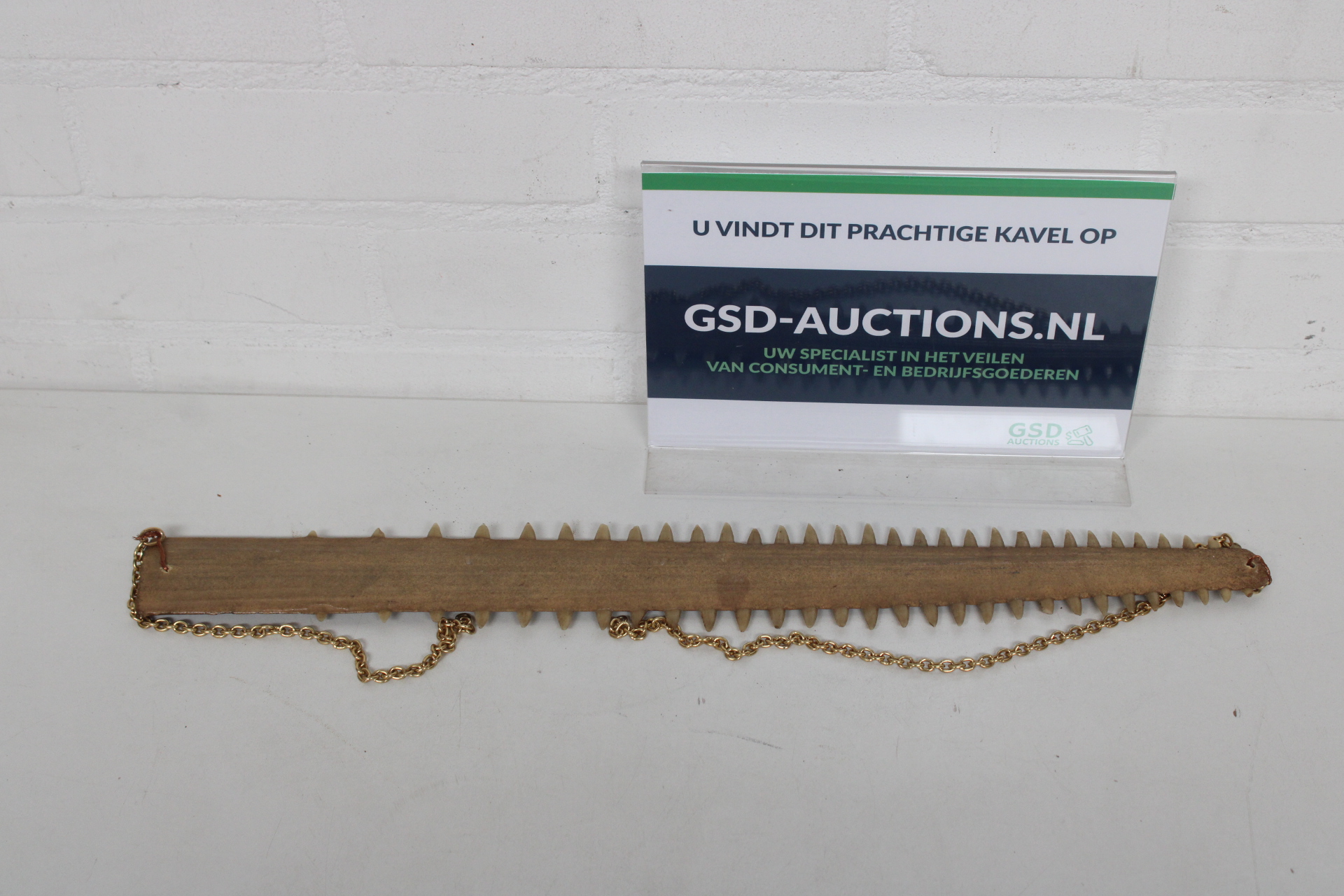 Zaagvissnuit – kavel bij GSD Auctions, Zoeterwoude