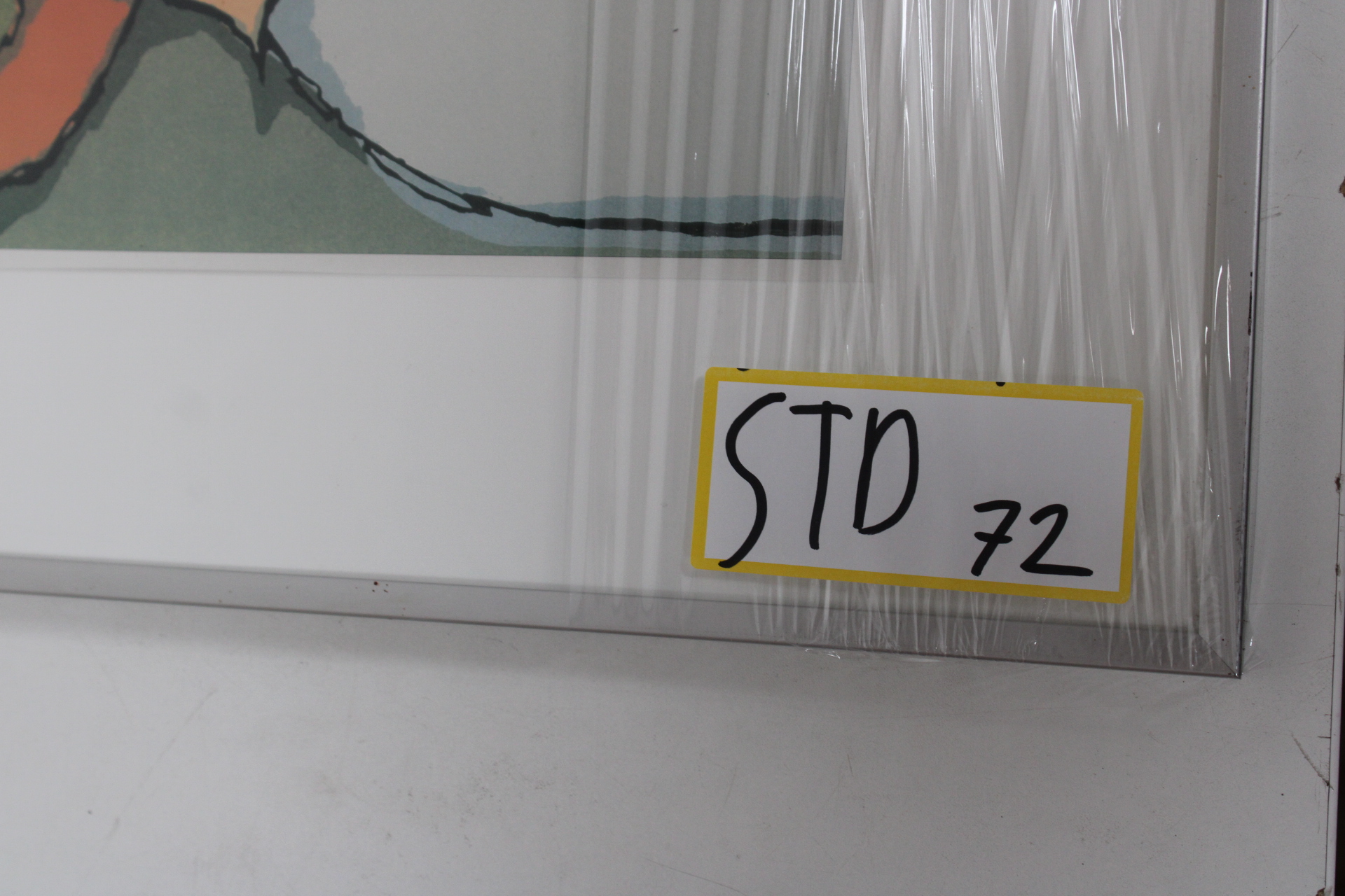 Ingelijste Zeefdruk getiteld "Fleuraison" – foto 9 – kavel bij GSD Auctions, Zoeterwoude
