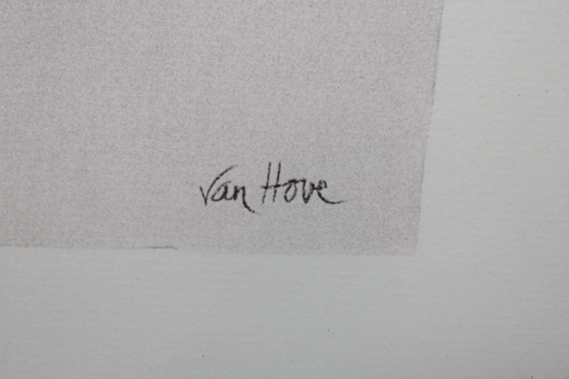 Tekening naakt vrouwelijk torso Van Hove – foto 3 – kavel bij GSD Auctions, Zoeterwoude
