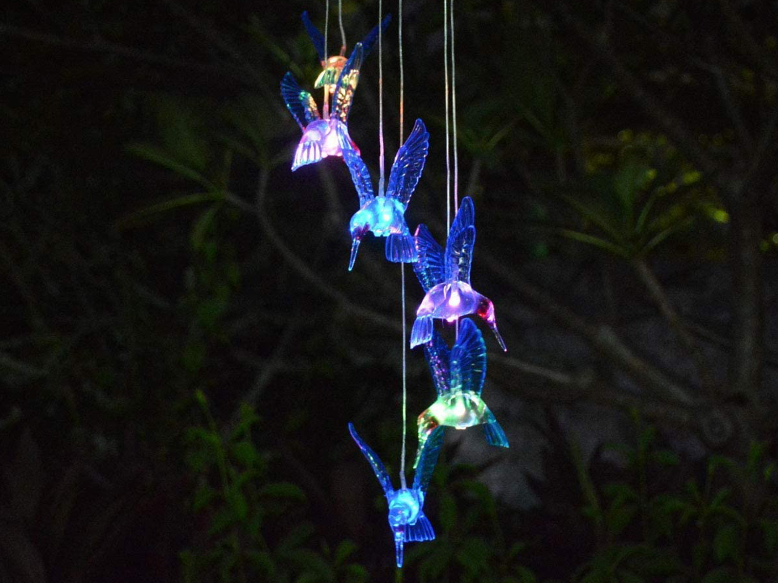 Solar verlichting kolibrie – foto 2 – kavel bij GSD Auctions, Zoeterwoude