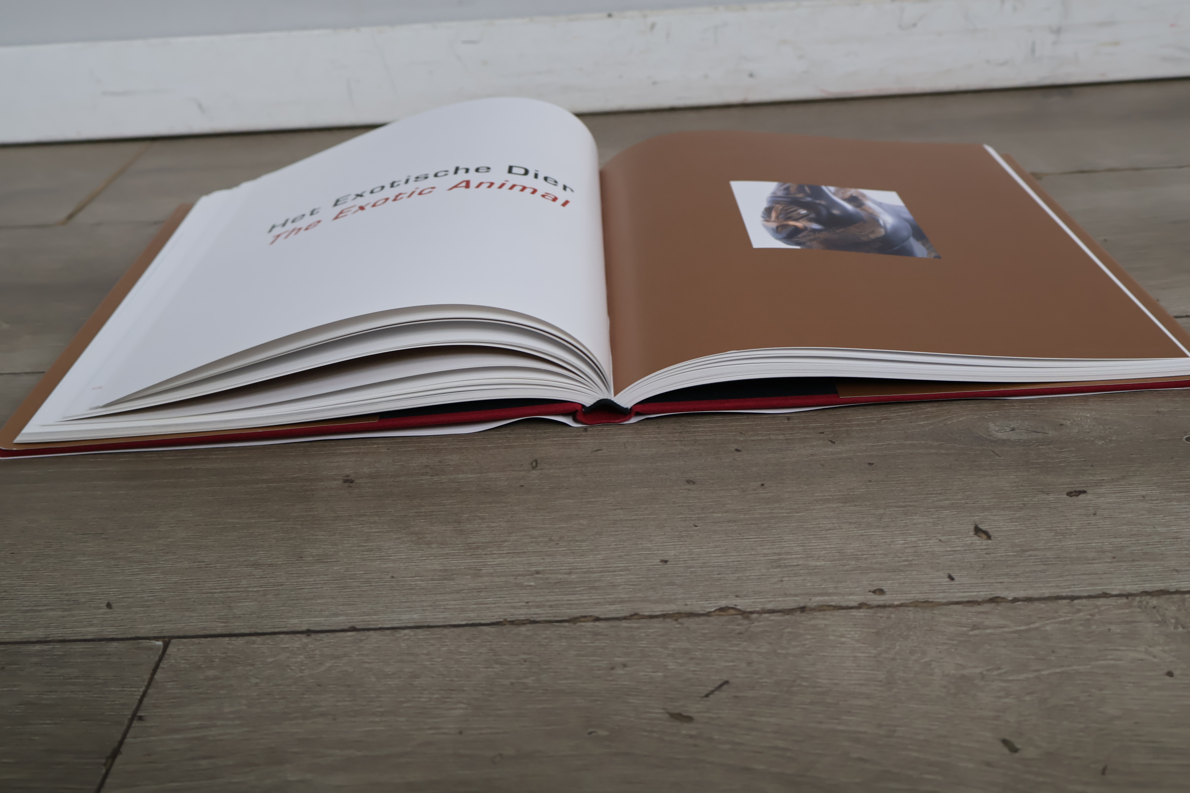 Boek 'Hetty Heyster Sculpturen II'' – foto 4 – kavel bij GSD Auctions, Zoeterwoude