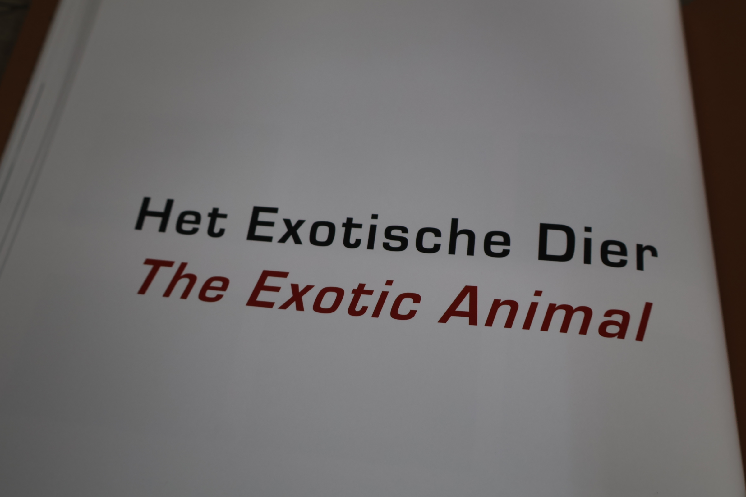 Boek 'Hetty Heyster Sculpturen II'' – foto 5 – kavel bij GSD Auctions, Zoeterwoude