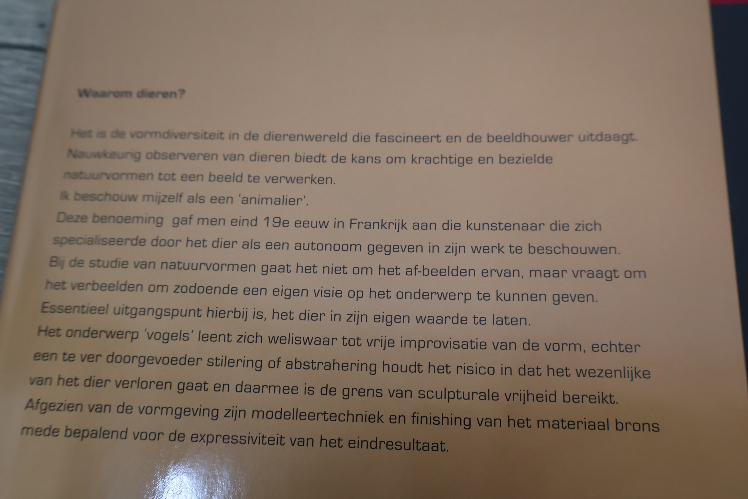 Boek 'Hetty Heyster Sculpturen II'' – foto 6 – kavel bij GSD Auctions, Zoeterwoude