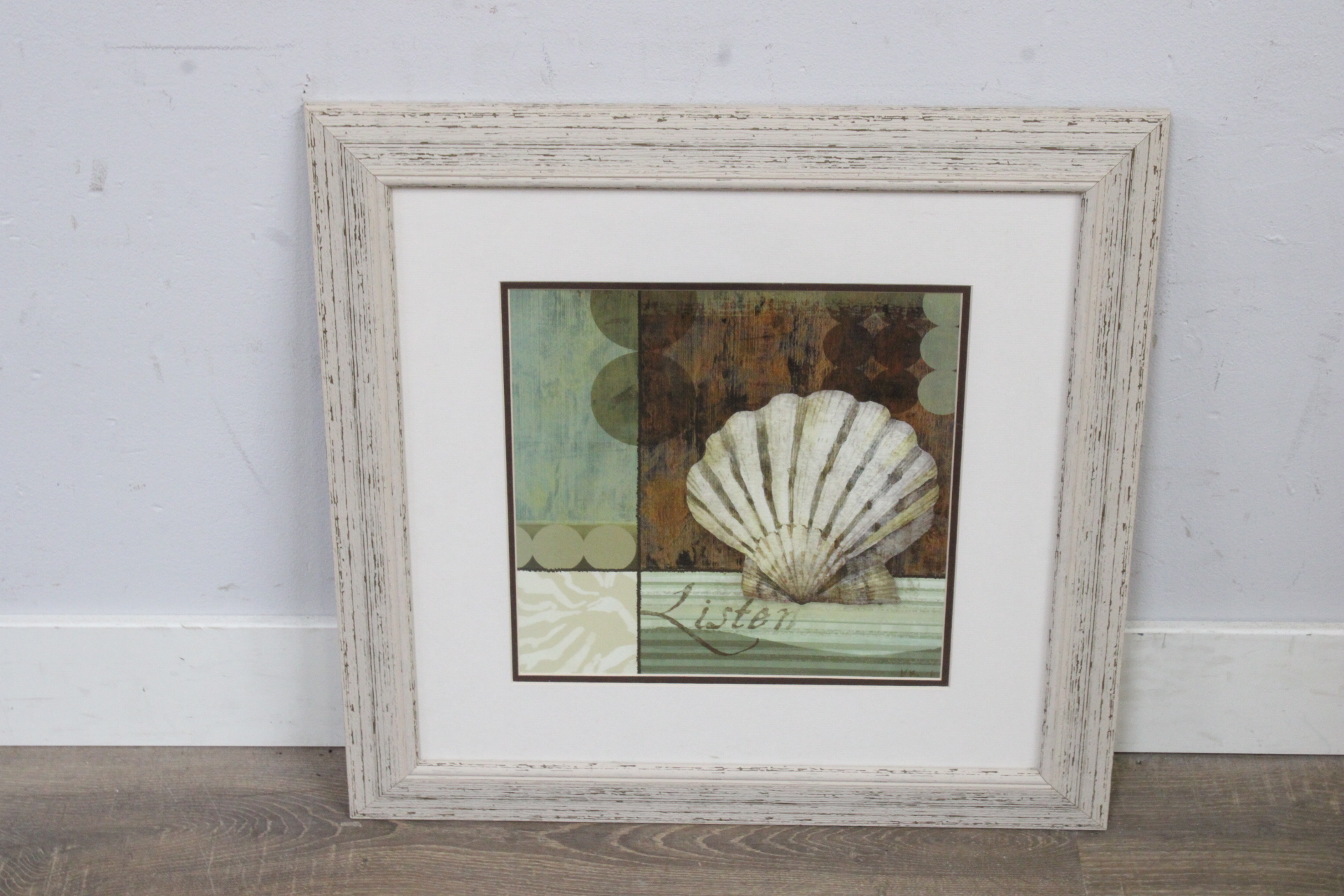 Ingelijste afbeelding van een schelp'' – foto 2 – kavel bij GSD Auctions, Zoeterwoude