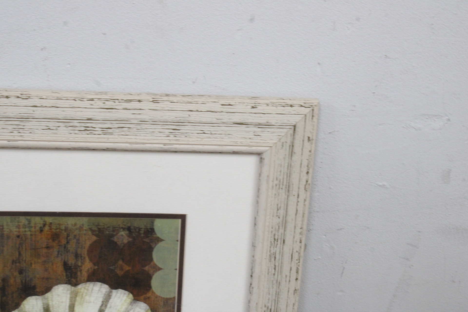 Ingelijste afbeelding van een schelp'' – foto 5 – kavel bij GSD Auctions, Zoeterwoude