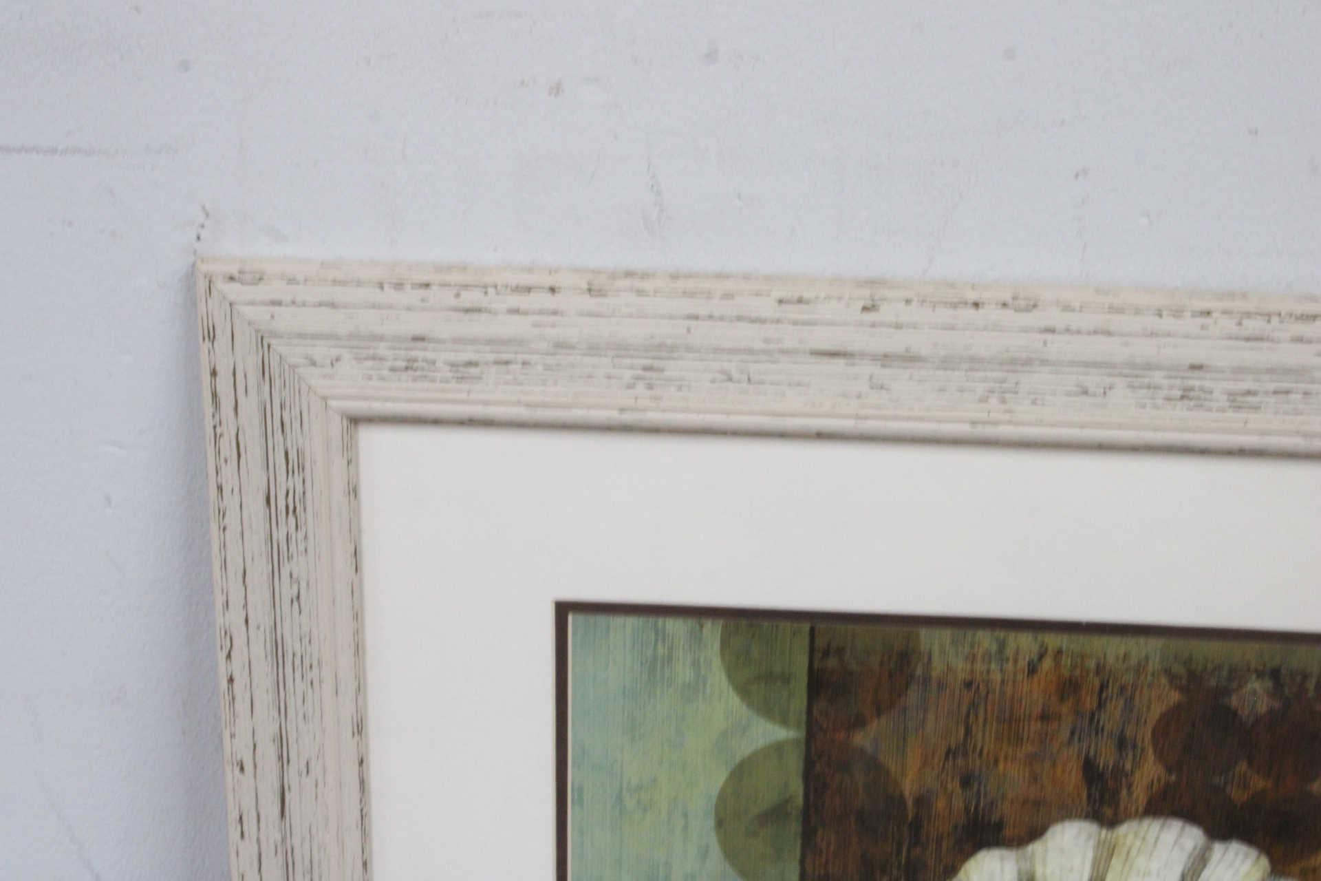 Ingelijste afbeelding van een schelp'' – foto 6 – kavel bij GSD Auctions, Zoeterwoude