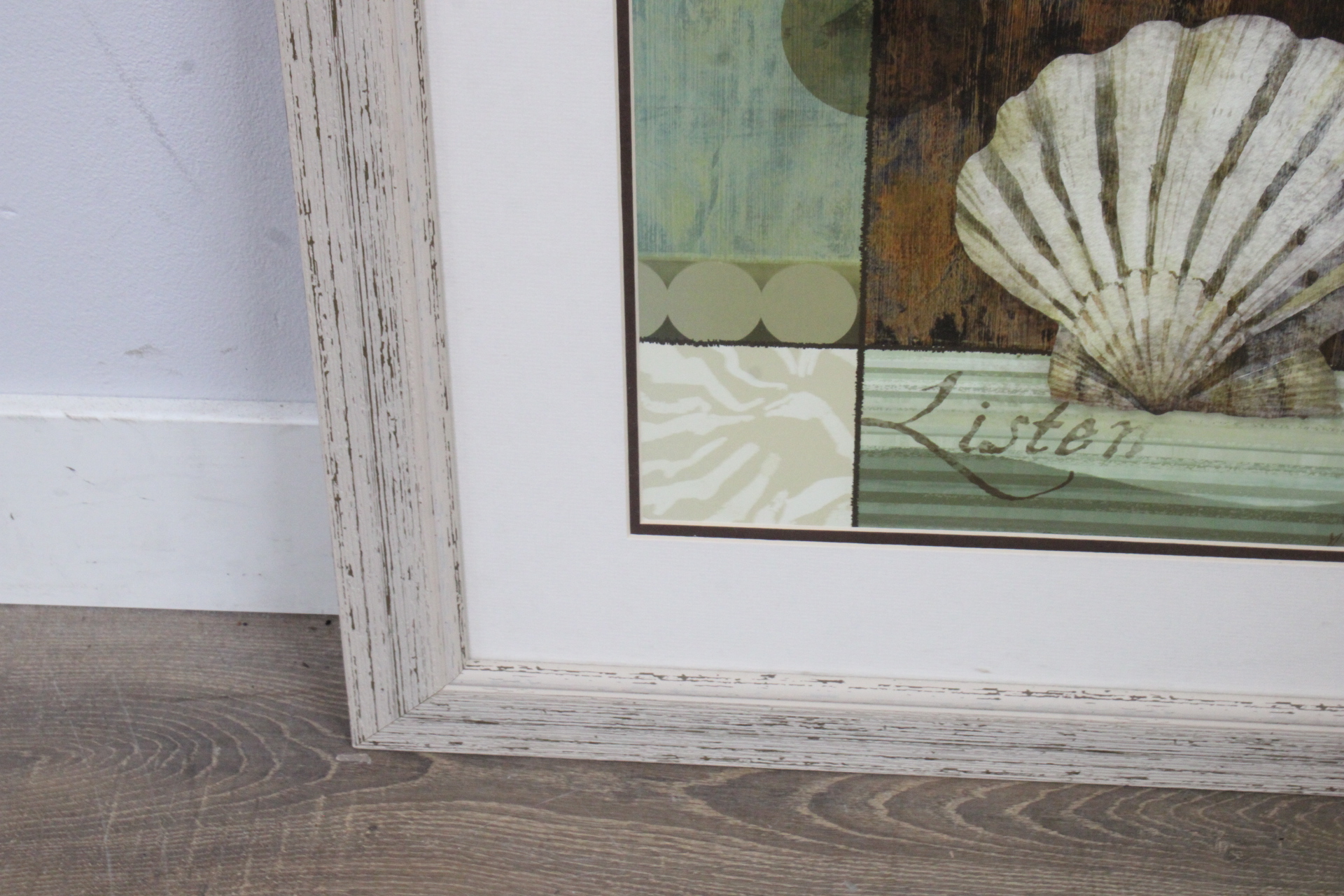 Ingelijste afbeelding van een schelp'' – foto 7 – kavel bij GSD Auctions, Zoeterwoude