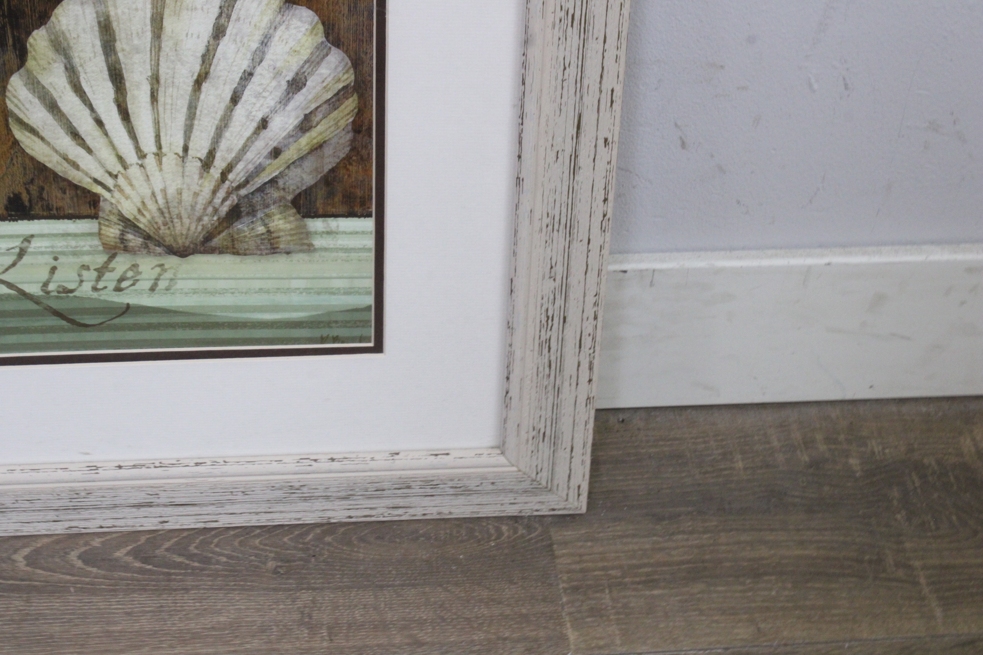 Ingelijste afbeelding van een schelp'' – foto 8 – kavel bij GSD Auctions, Zoeterwoude