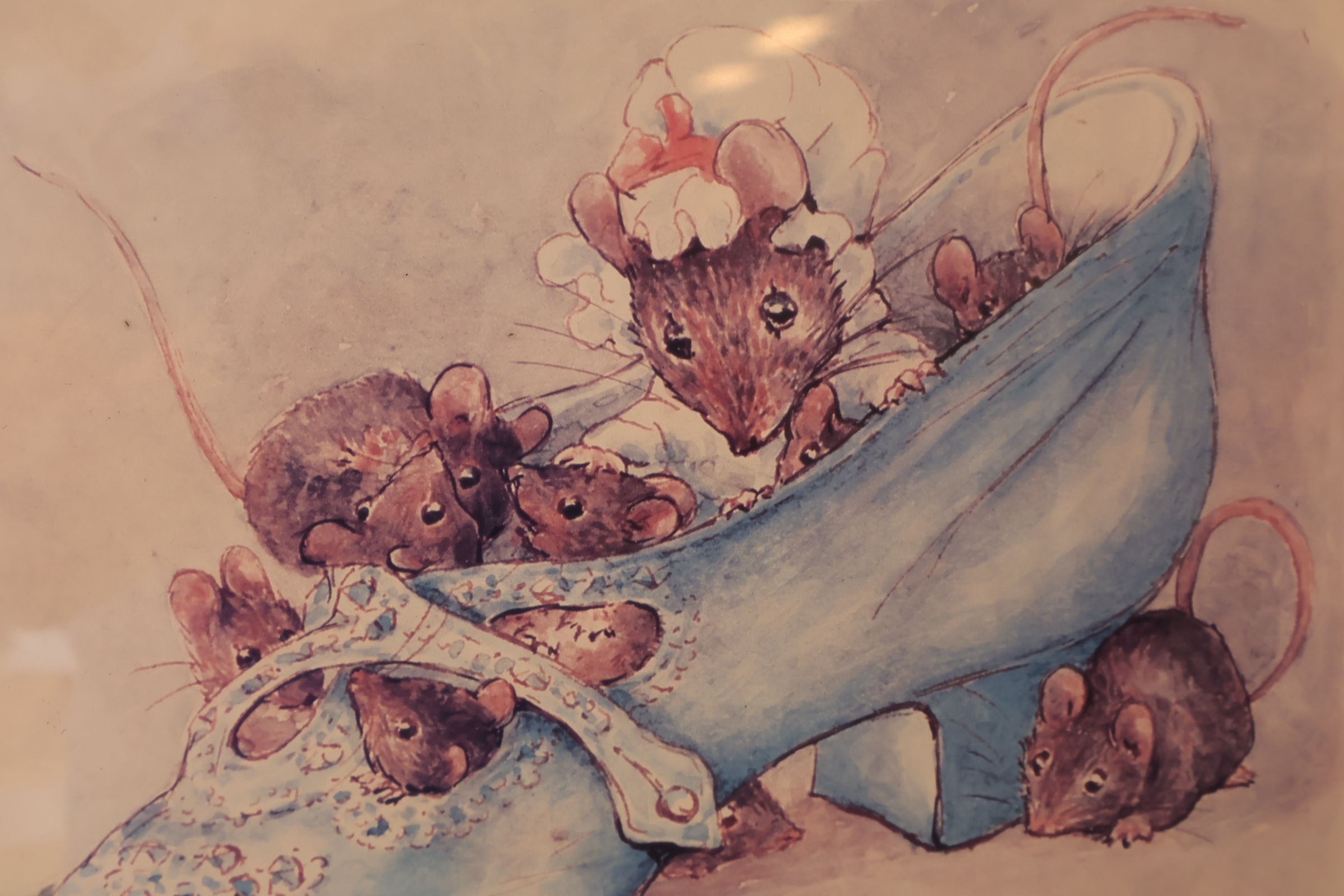 Beatrix Potter ingelijste prent'' – foto 9 – kavel bij GSD Auctions, Zoeterwoude