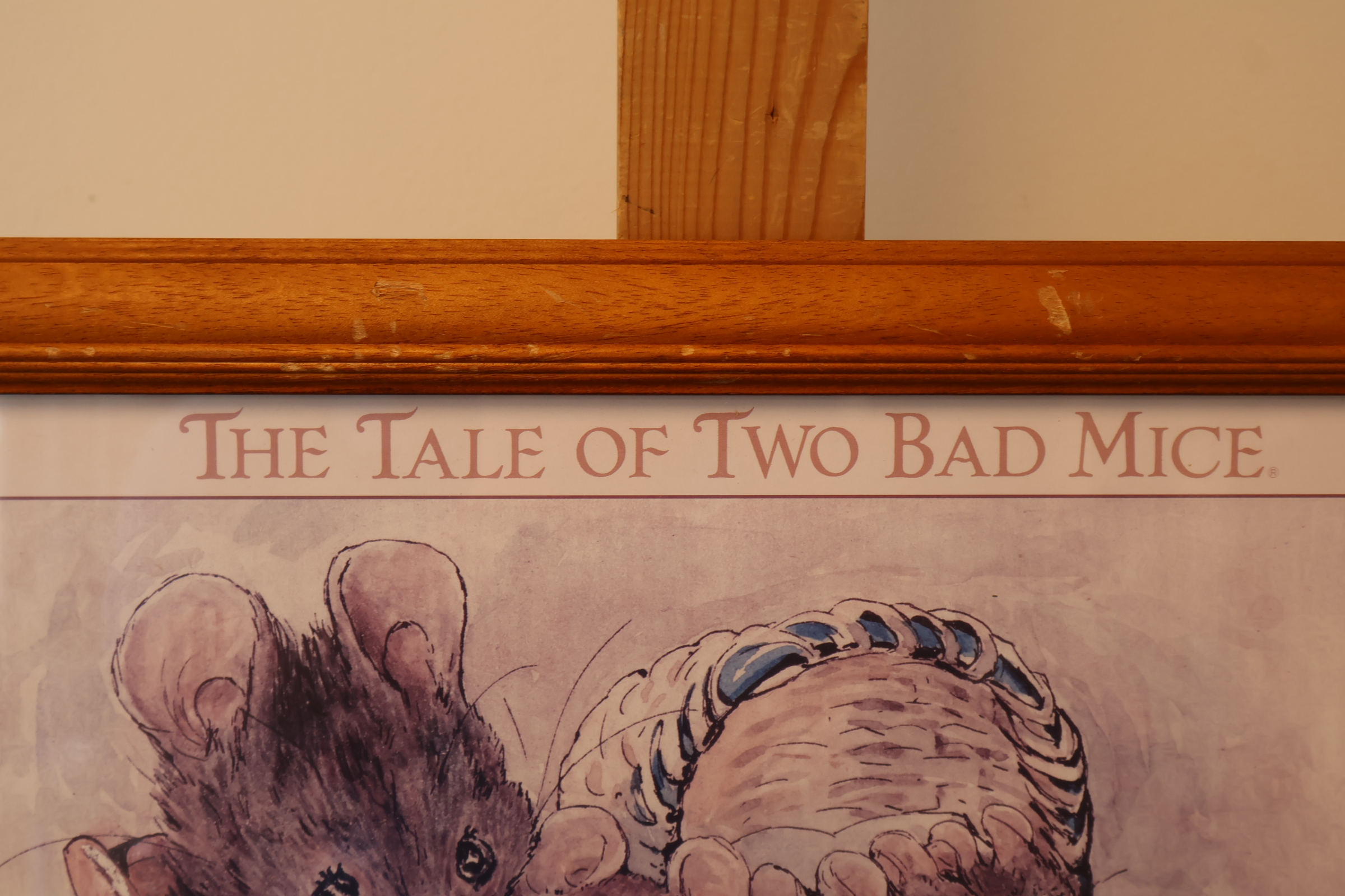 Ingelijste Beatrix Potter illustratie'' – foto 6 – kavel bij GSD Auctions, Zoeterwoude