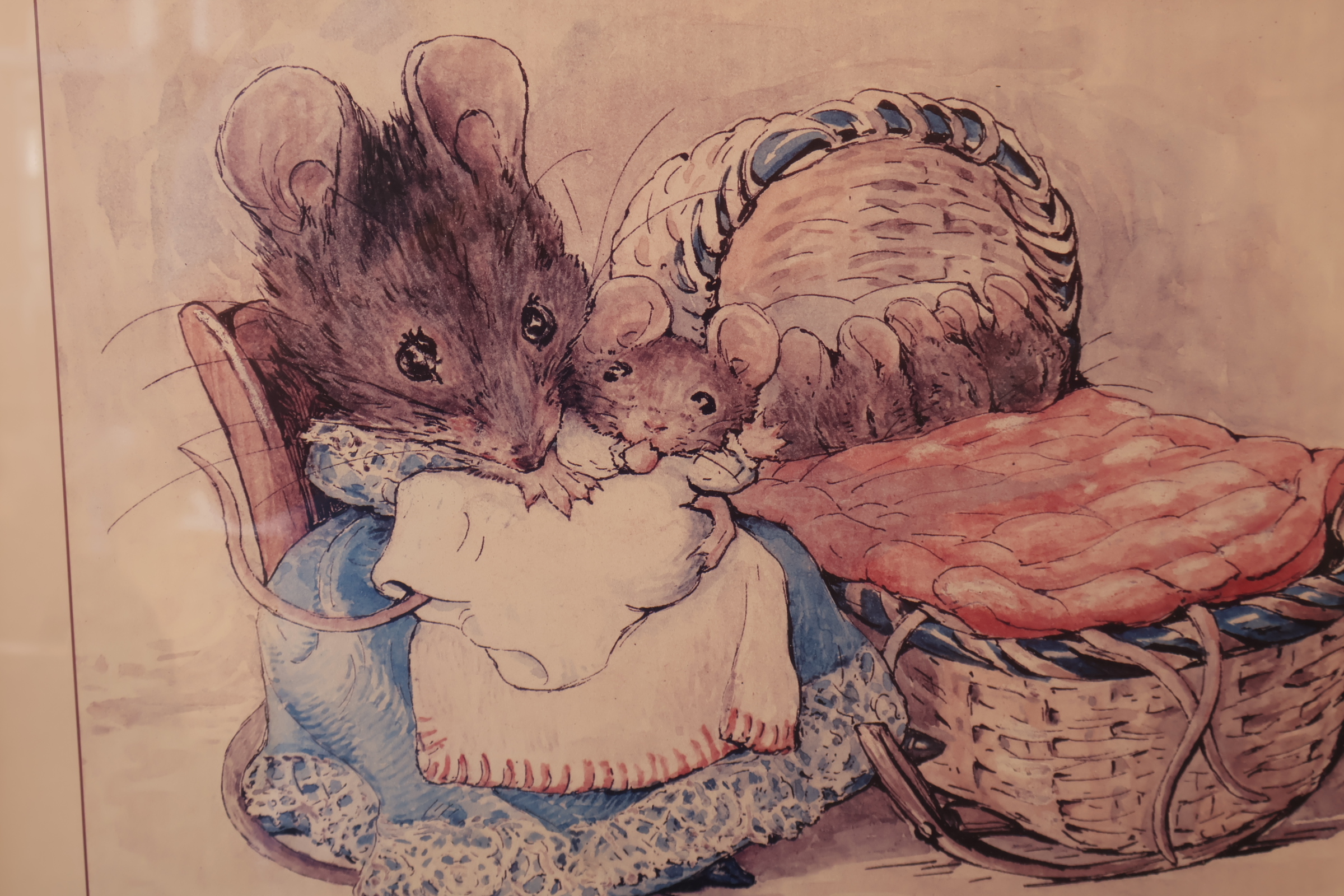 Ingelijste Beatrix Potter illustratie'' – foto 8 – kavel bij GSD Auctions, Zoeterwoude