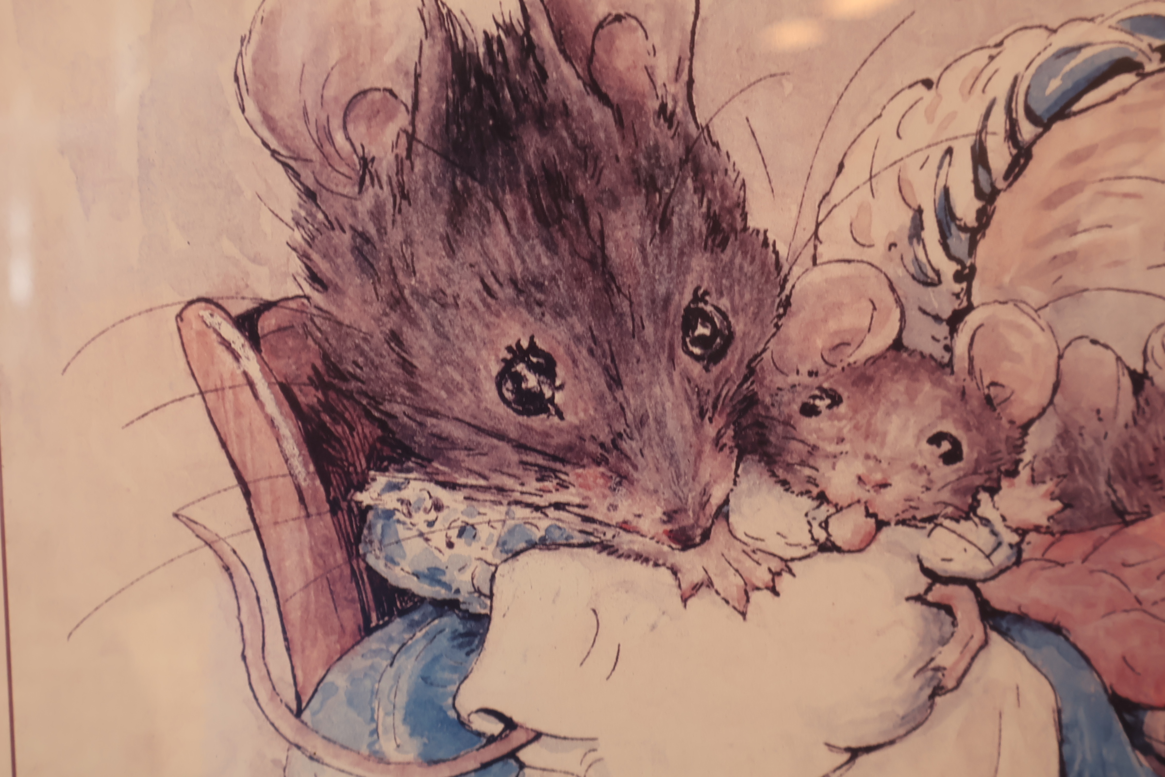 Ingelijste Beatrix Potter illustratie'' – foto 9 – kavel bij GSD Auctions, Zoeterwoude