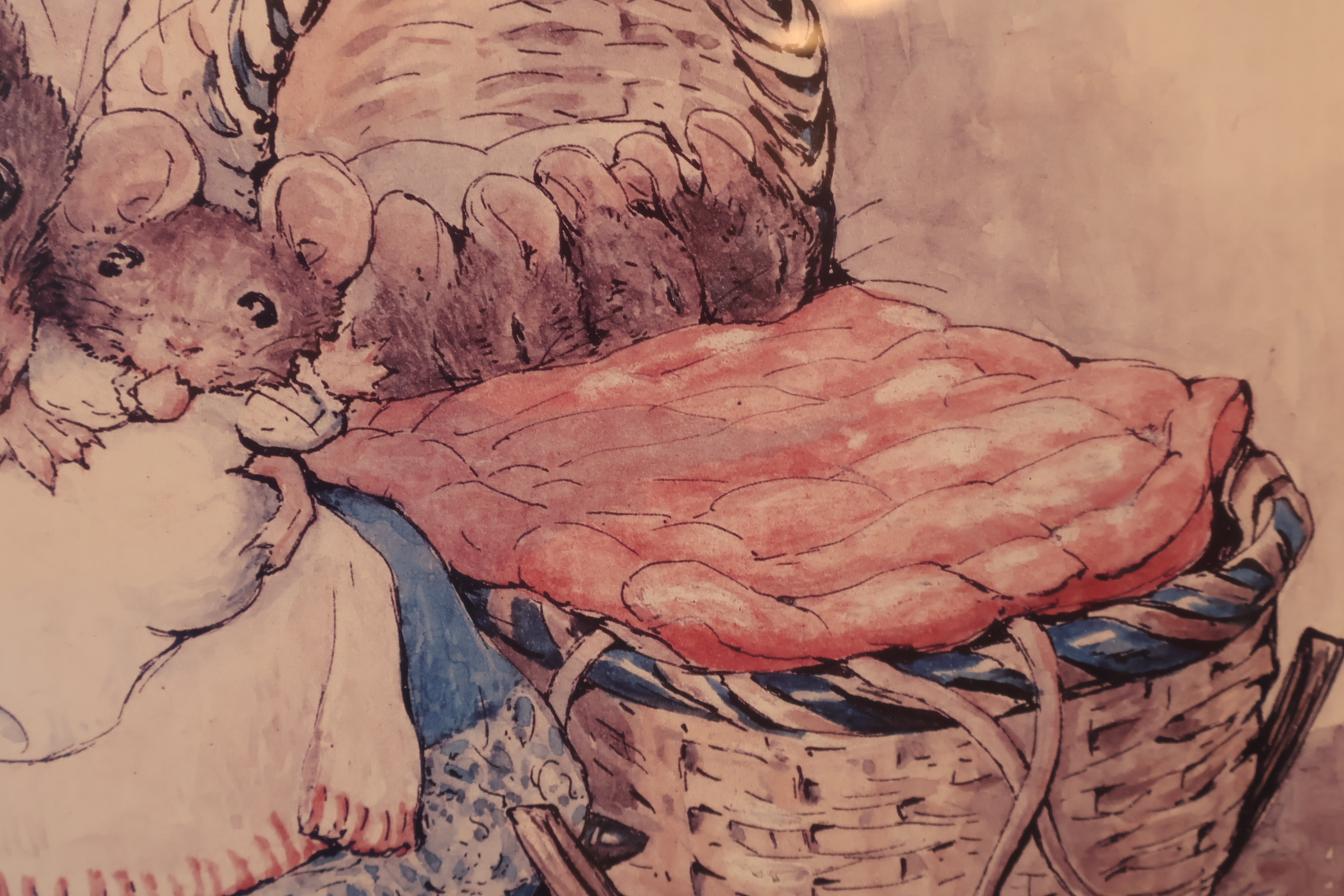 Ingelijste Beatrix Potter illustratie'' – foto 10 – kavel bij GSD Auctions, Zoeterwoude