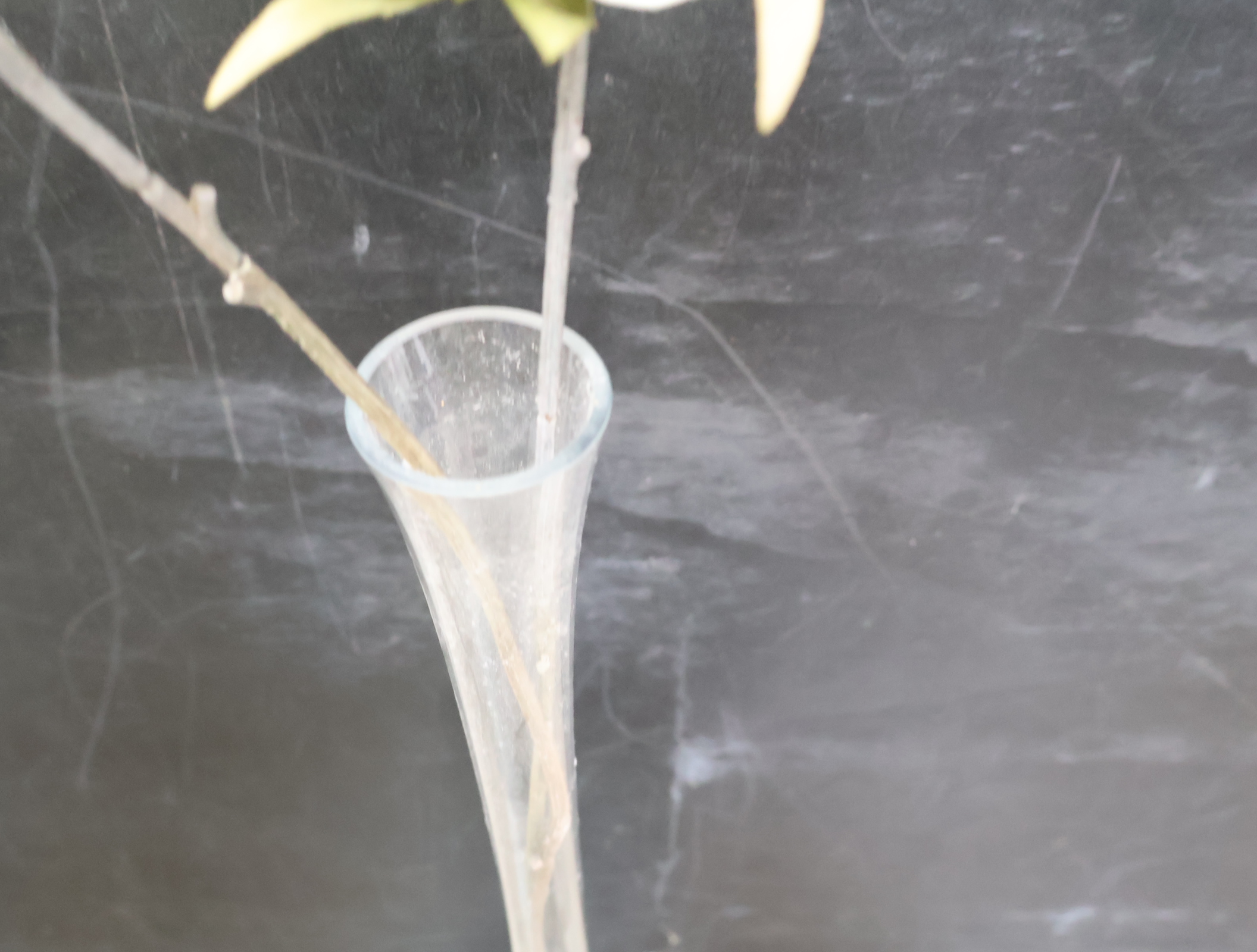 Set glazen vazen met kunstbloemen'' – foto 8 – kavel bij GSD Auctions, Zoeterwoude