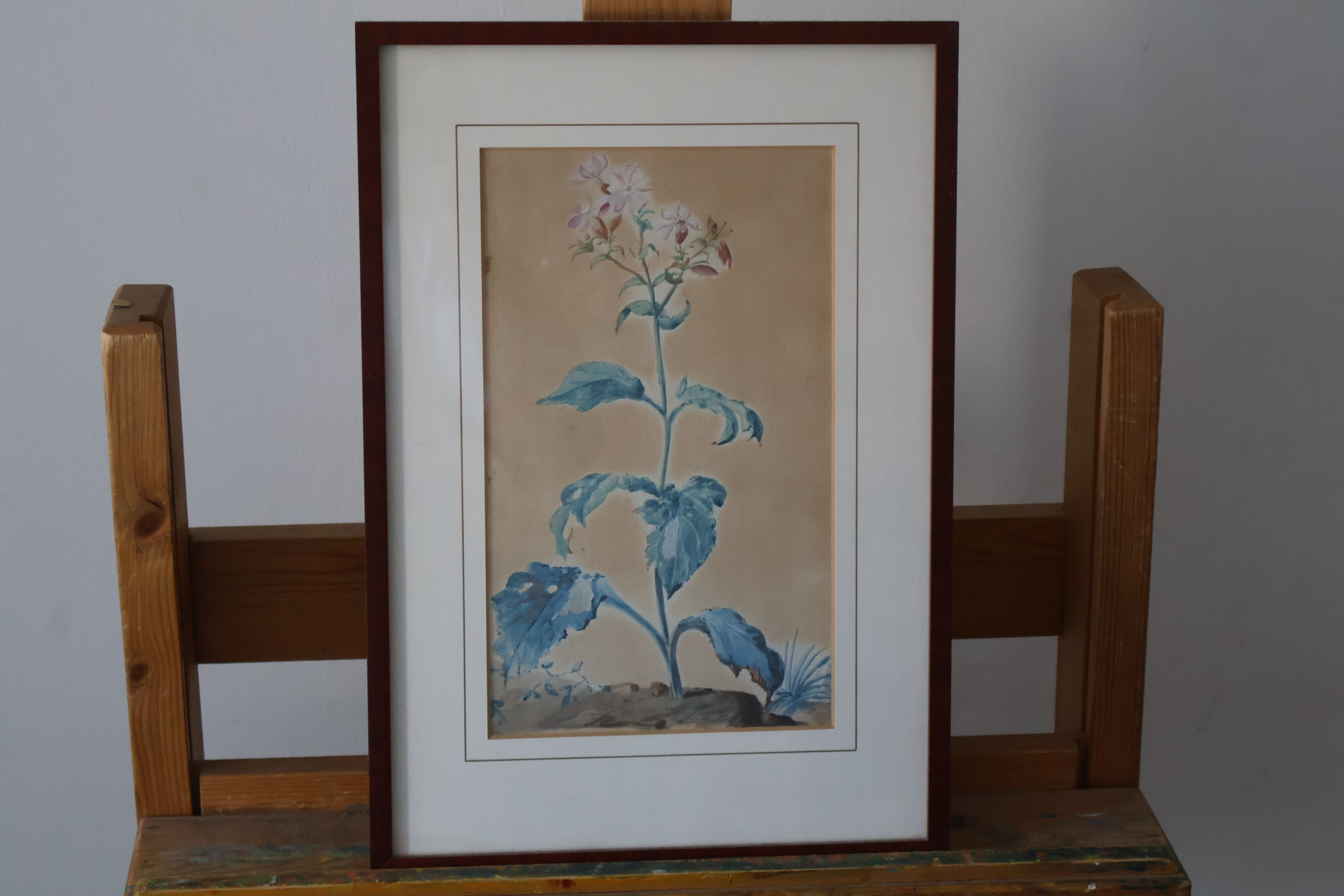 Ingelijste botanische aquarel'' – foto 2 – kavel bij GSD Auctions, Zoeterwoude