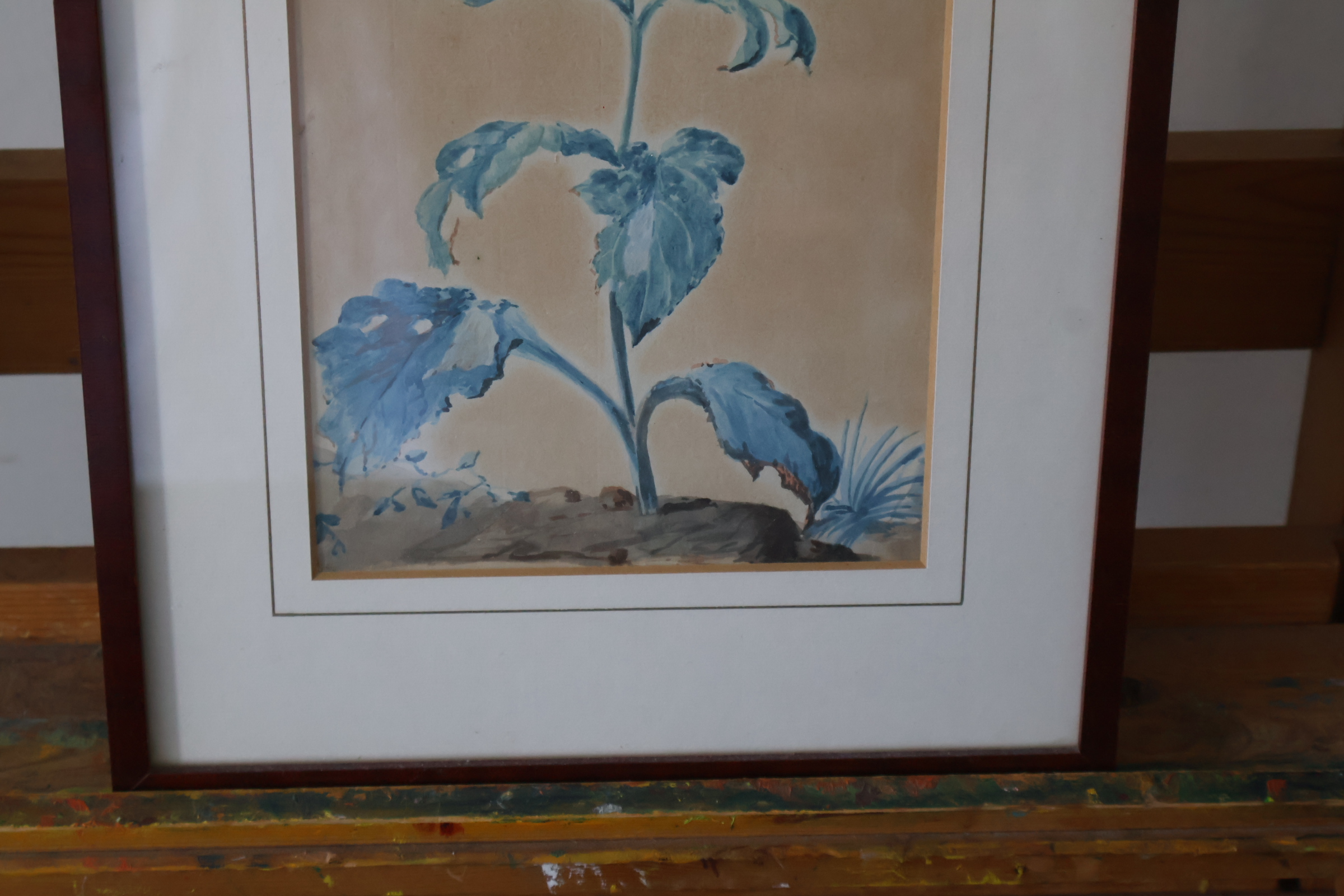 Ingelijste botanische aquarel'' – foto 4 – kavel bij GSD Auctions, Zoeterwoude
