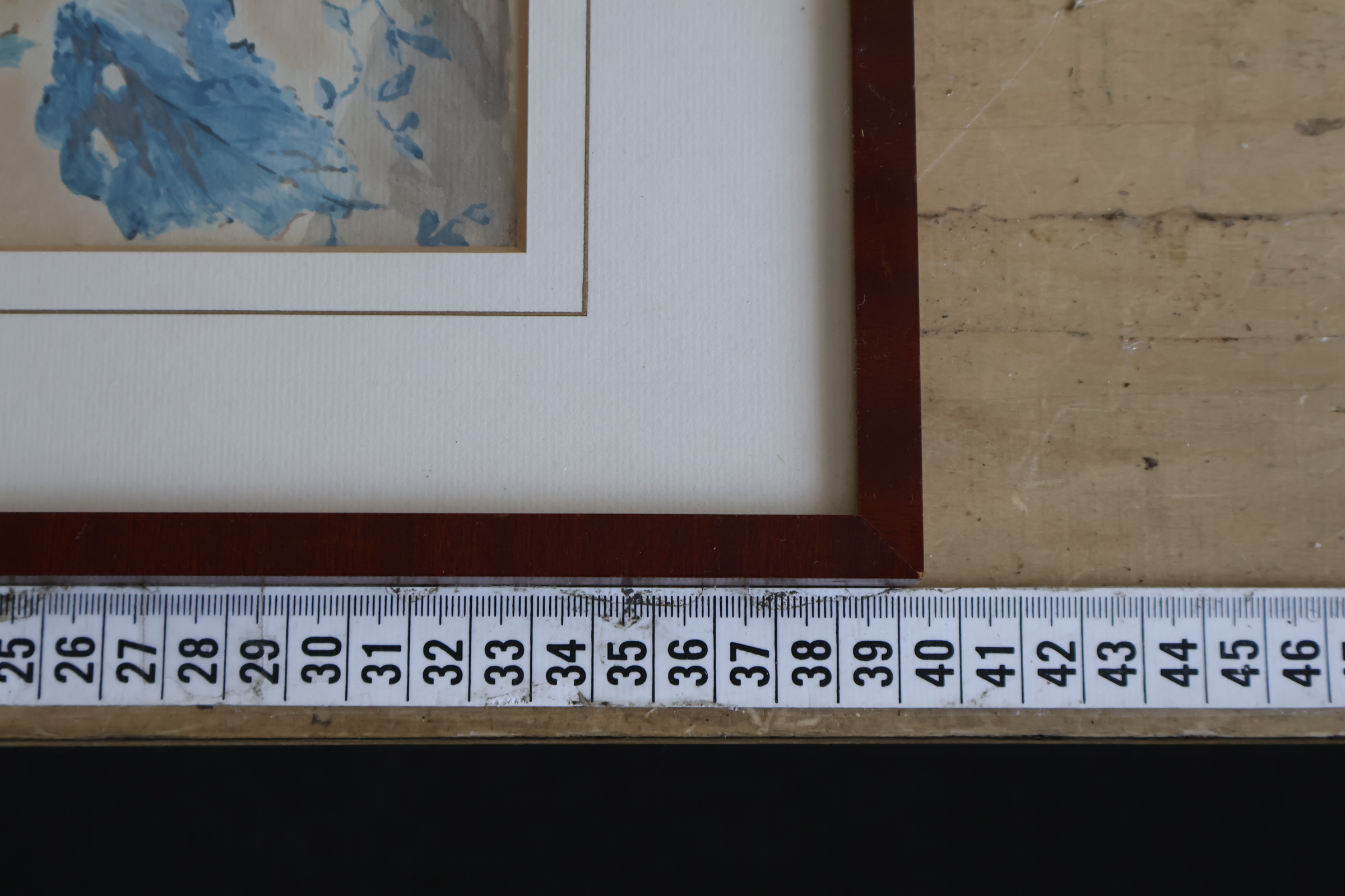 Ingelijste botanische aquarel'' – foto 10 – kavel bij GSD Auctions, Zoeterwoude