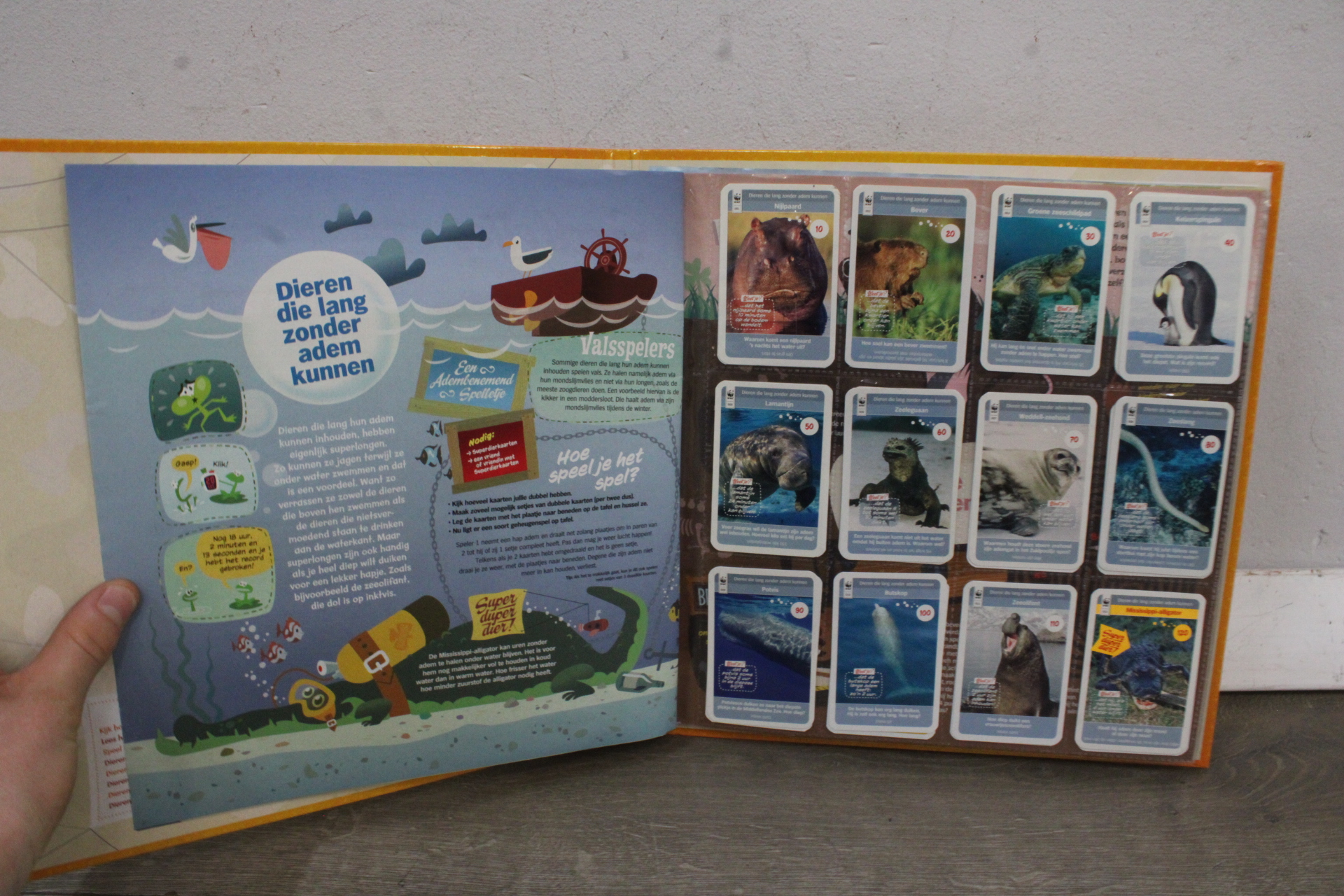 Superdieren dierenverzamel- en doeboek'' – foto 3 – kavel bij GSD Auctions, Zoeterwoude