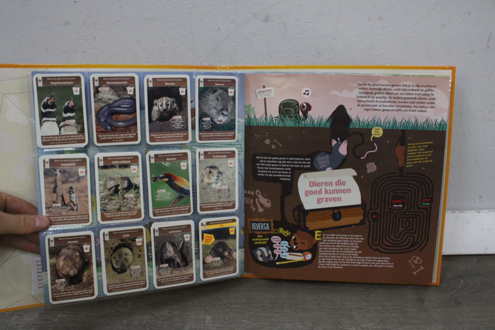 Superdieren dierenverzamel- en doeboek'' – foto 4 – kavel bij GSD Auctions, Zoeterwoude