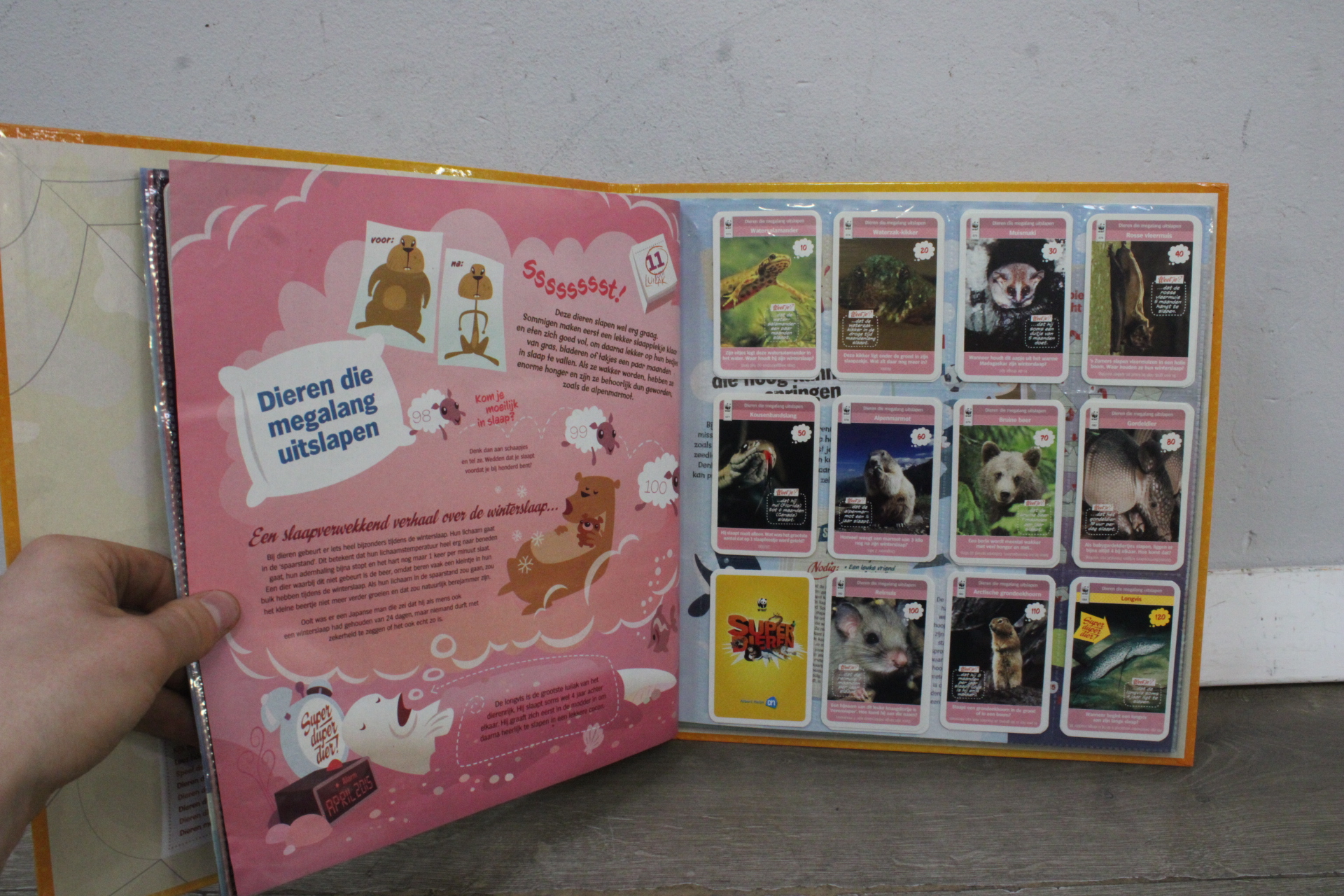 Superdieren dierenverzamel- en doeboek'' – foto 9 – kavel bij GSD Auctions, Zoeterwoude