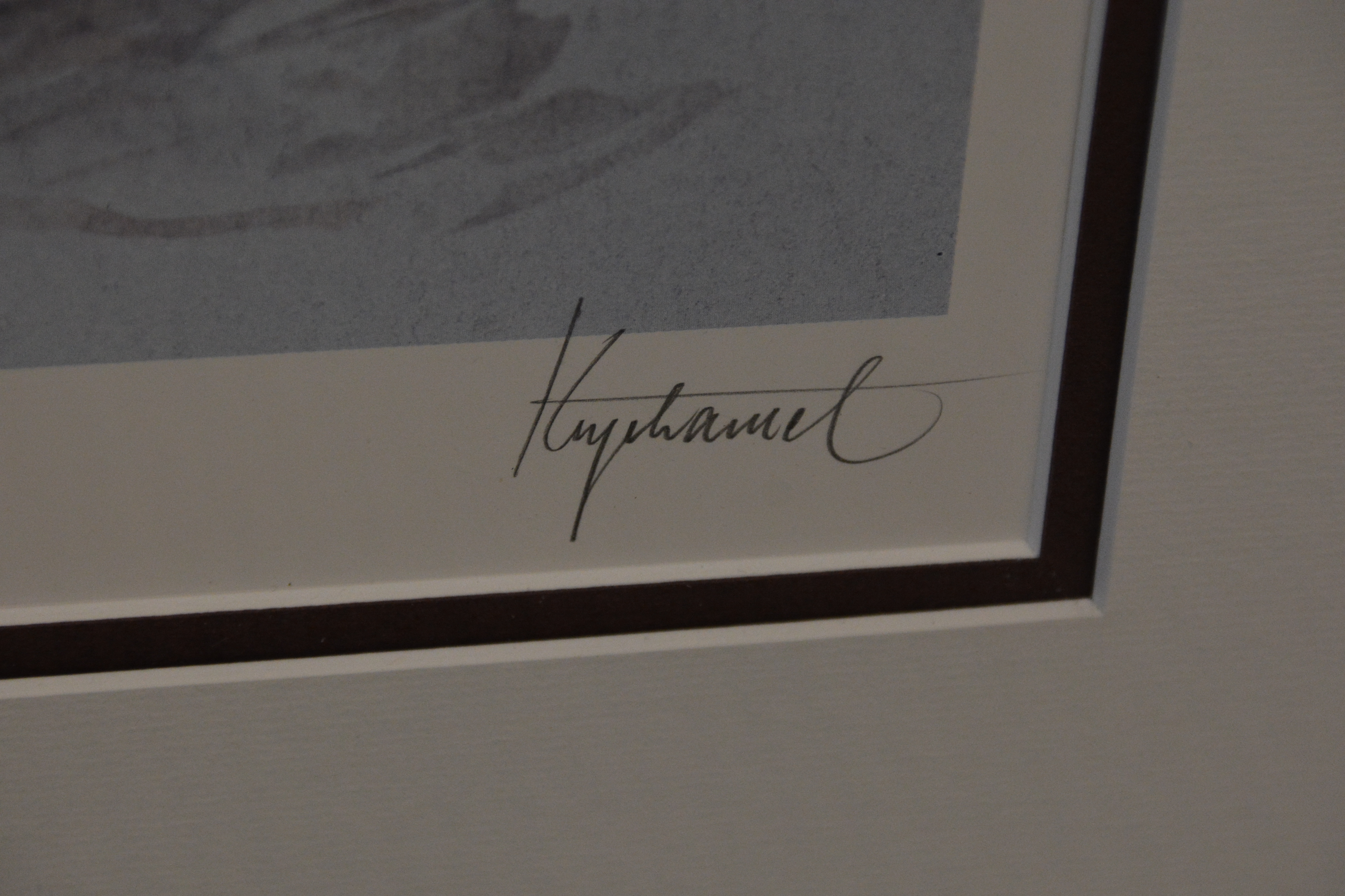 Ingelijste aquarel van een boeket bloemen. Door Hugeamel'' – foto 7 – kavel bij GSD Auctions, Zoeterwoude
