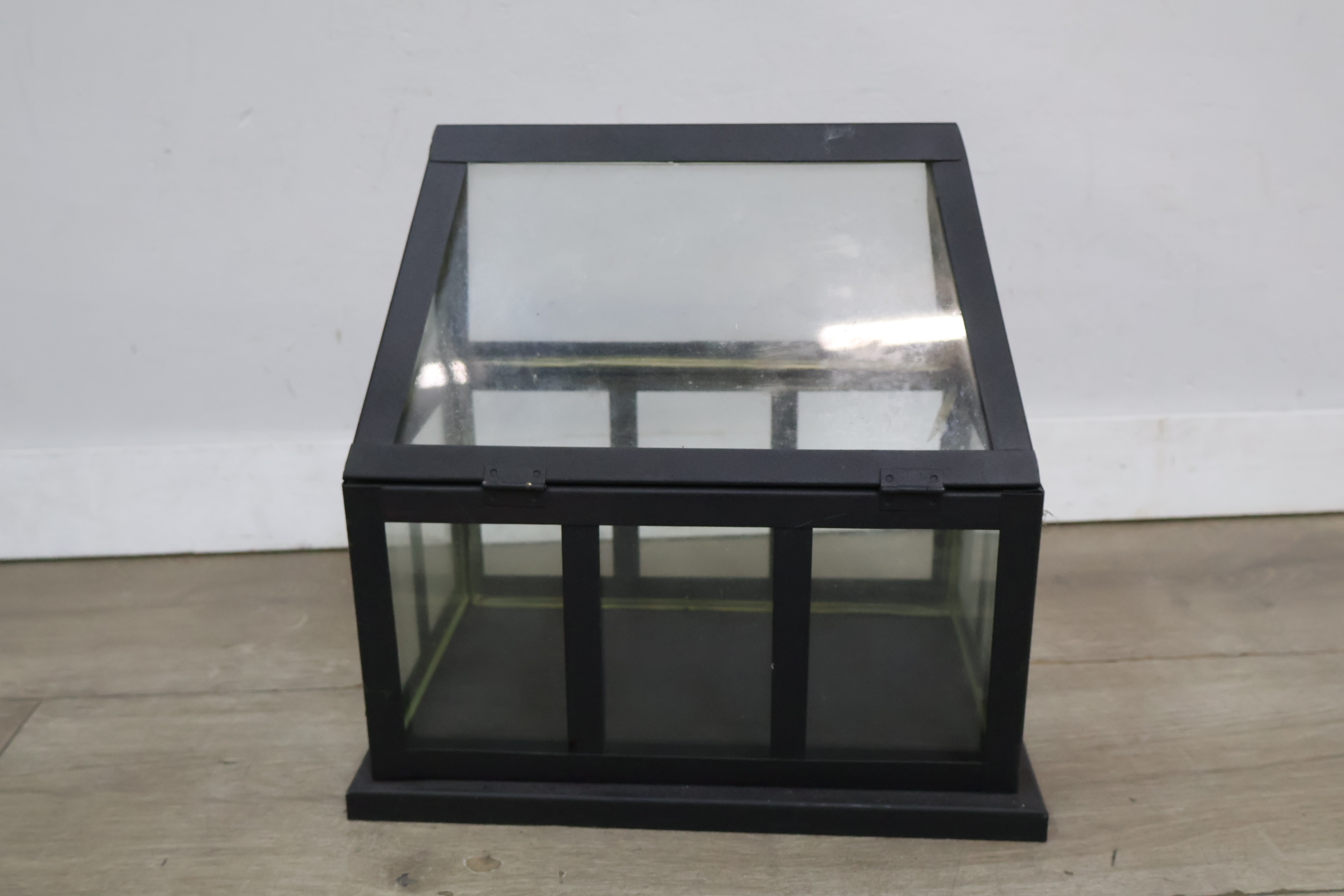Zwarte glazen mini kweekkas – foto 5 – kavel bij GSD Auctions, Zoeterwoude
